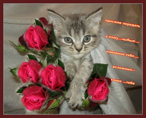 Вам просили передать цветы