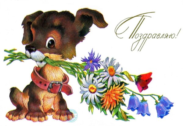 Открытки вам просили передать