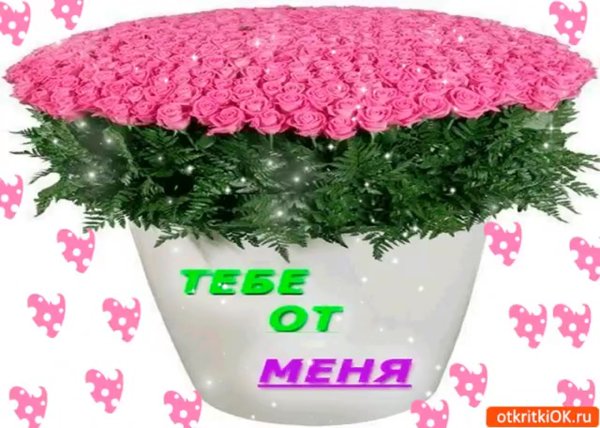 Счастья тебе красавица