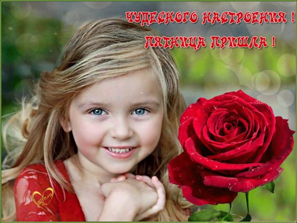 Гиф еле донесла