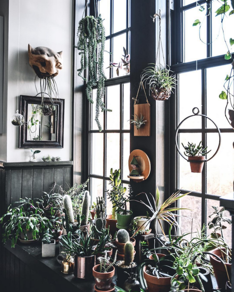 Урбан Джангл стиль