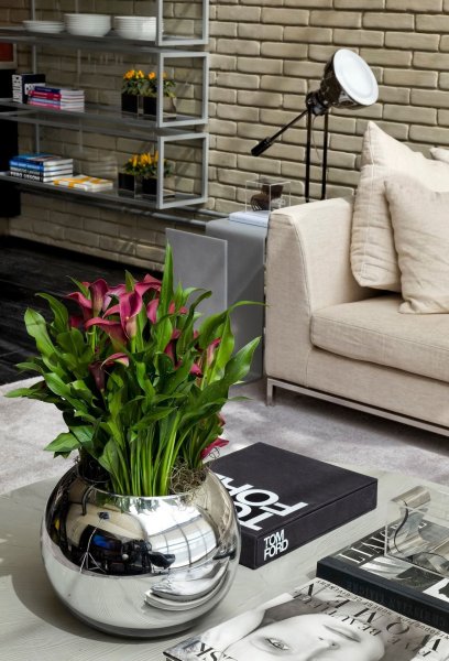 Растения в стиле лофт