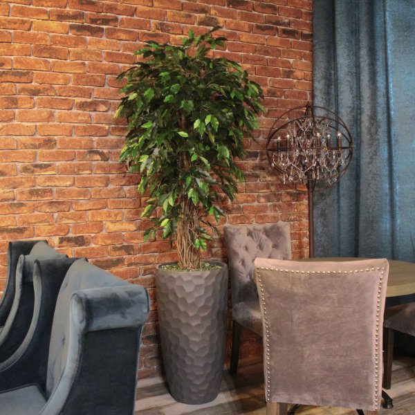 Озеленение в стиле лофт