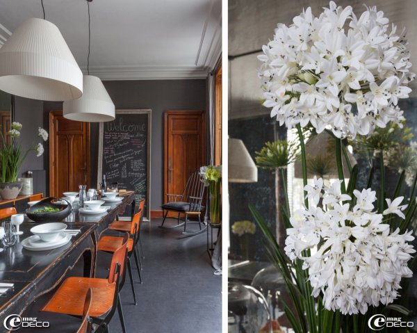 Красивые цветы лофт