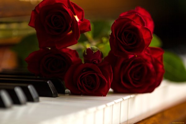 Цветы Вдохновение