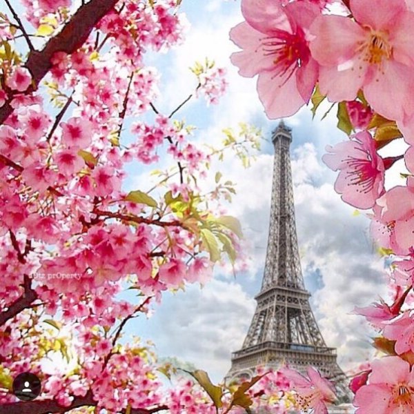 Эйфелева башня в Париже