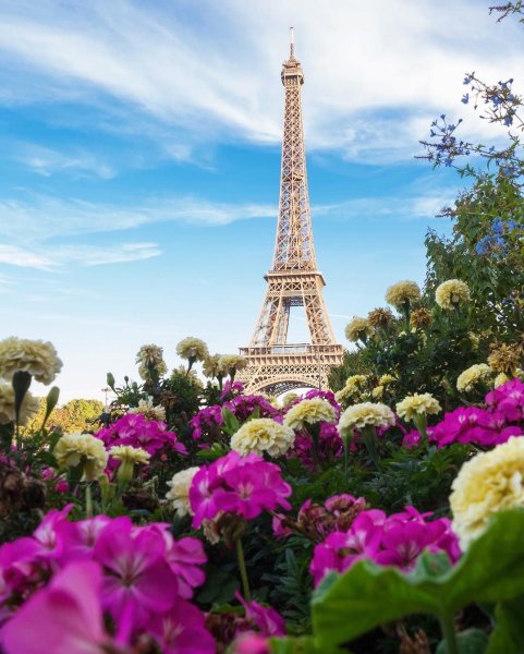 Алмазная мозаика эльфивая башня Париж