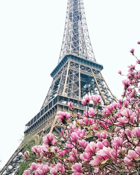 Эйфель башня Франция днем