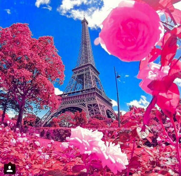 Картина Эйфелева башня Париж