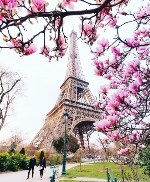 Париж эльфивая башня цветы