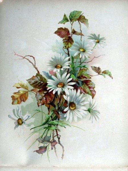 Винтажные букеты полевых цветов