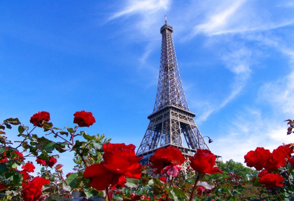Эйфелева башня в розовом цвете
