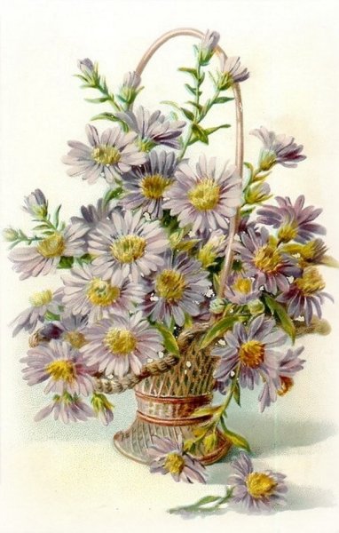 Полевые цветы для декупажа