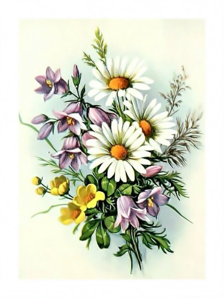 Винтажные открытки с полевыми цветами