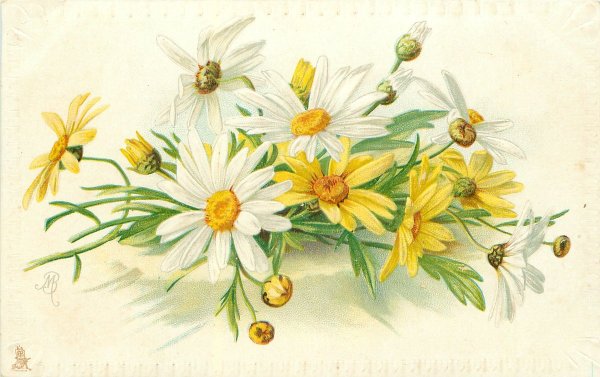 Винтажные ромашки