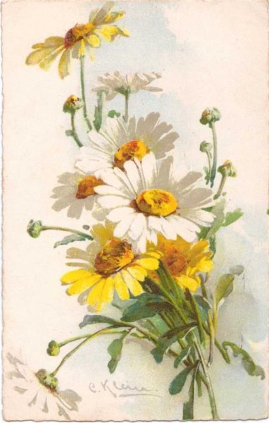 Полевые цветы Катарины Кляйн