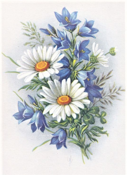 Букет из полевых цветов рисунок