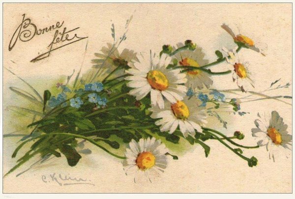 Катарина Кляйн васильки