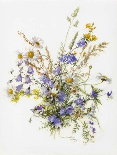 Акварель Ботаническая Полев цветы