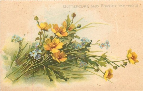 Катарина Кляйн незабудки