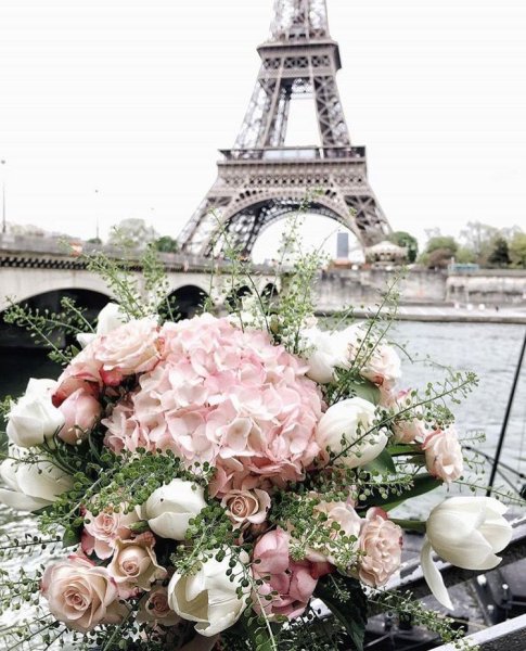 Картина по номерам "романтика в Париже" 40х50см