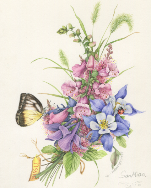 Флористическая иллюстрация