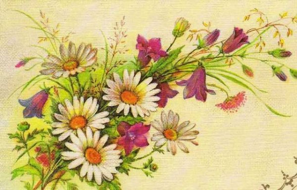 Старинные открытки с полевыми цветами