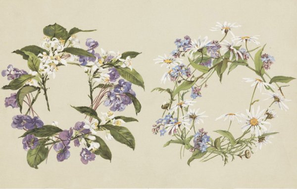 Художница Фиделия Бриджес (Fidelia Bridges)