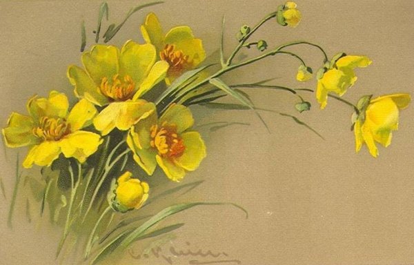 Катарина Кляйн лютики