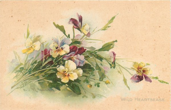 Катарина Кляйн