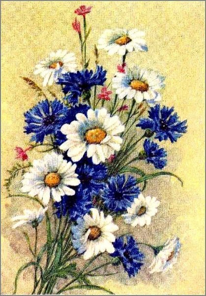 Открытки с ромашками и васильками