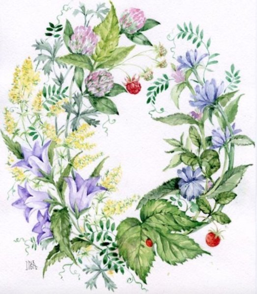 Полевые цветы для декупажа