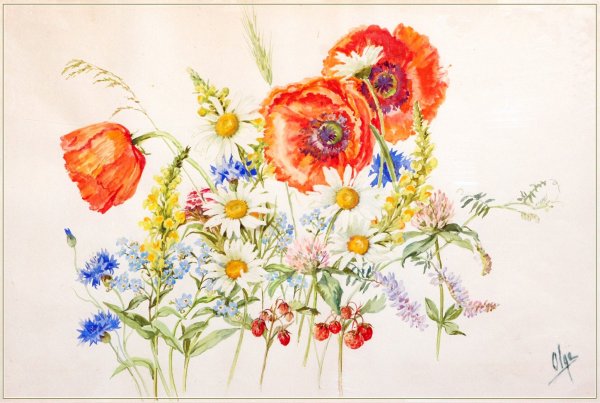 Рисунки Ольги Александровны Романовой