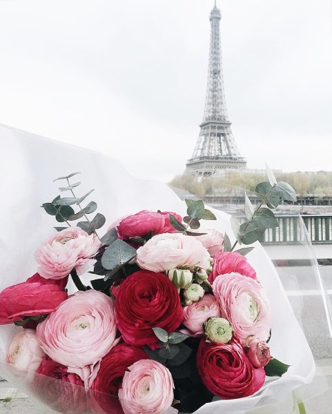 Пионы Париж