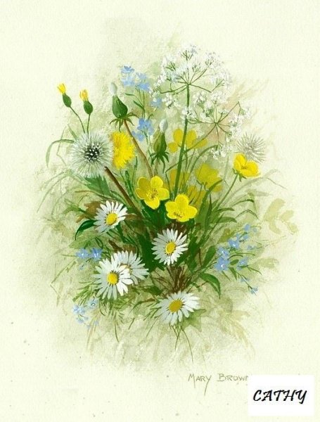Цветы полевые и луговые акварель