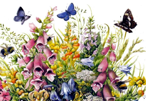 Маржолин Бастин художник