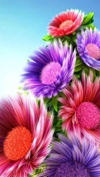 Открытки с орхидеями