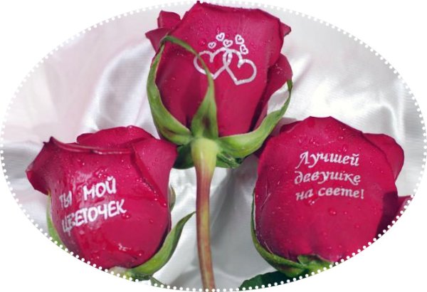 Розы с надписью