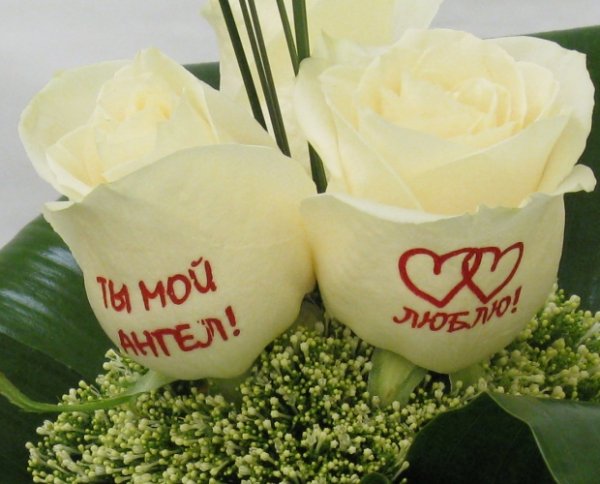 Люблю тебя мой Ангелочек