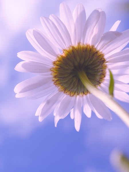 Христианские открытки ободряющие