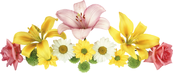 Небо сквозь траву