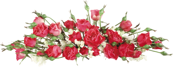 Разделитель цветы