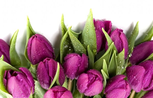 Красочное лето