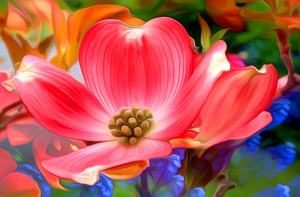 Цветы абстракция