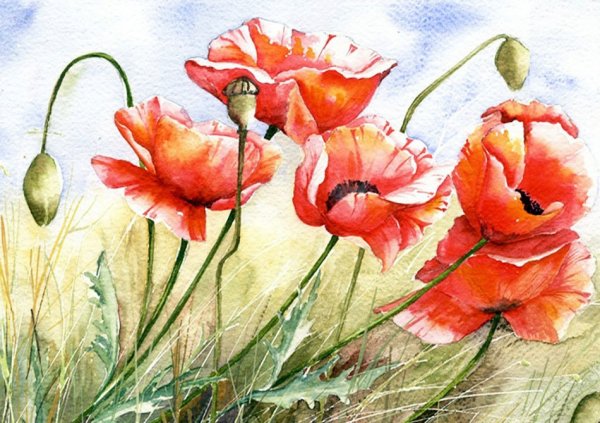 Художник Yvonne Harry