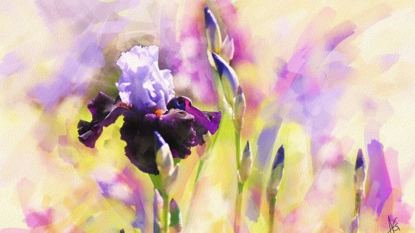 Акварель ирисы Альберто Гильен