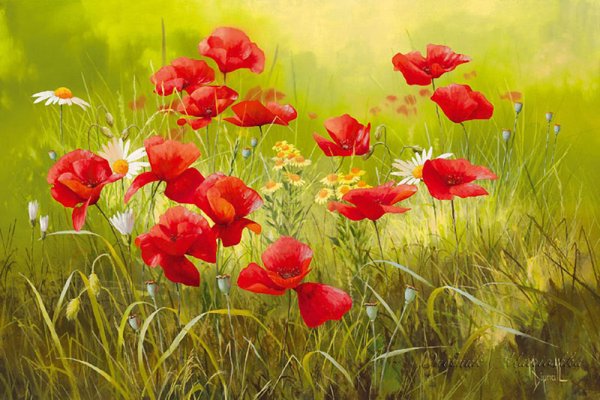 Цветы луговые художника Mary Dipnall