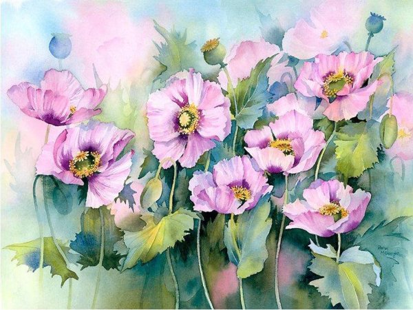 Рэйчел МАКНОТОН