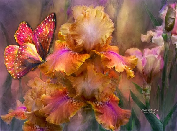 Кэрол Каваларис