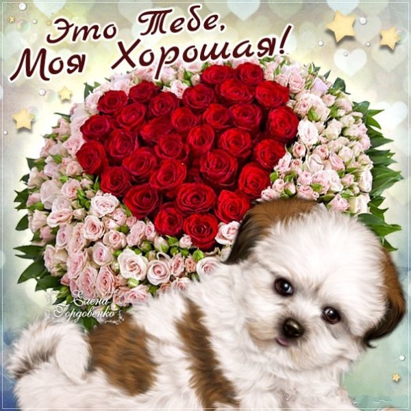 Открытка тебе моя хорошая
